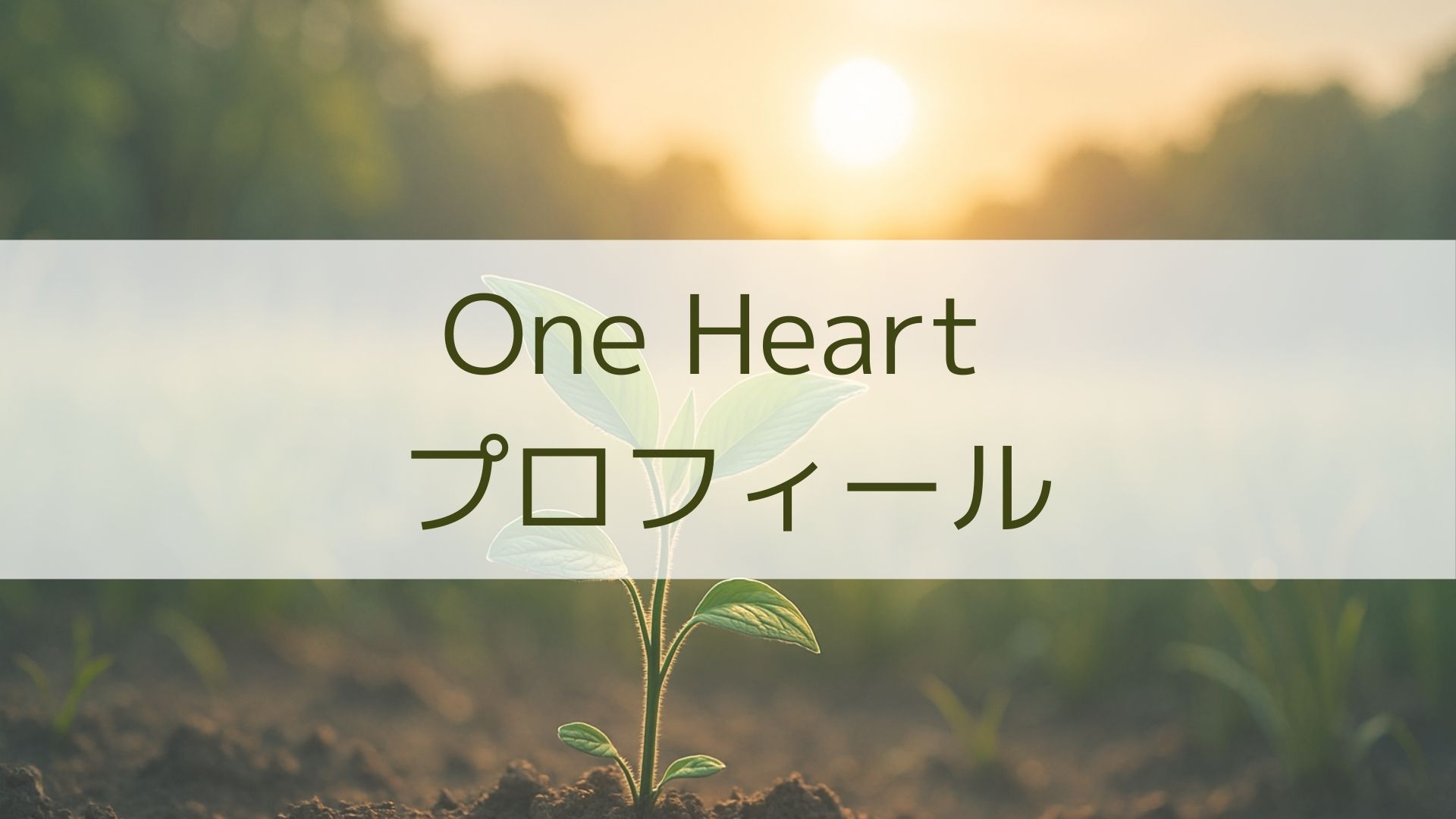 カウンセラープロフィール